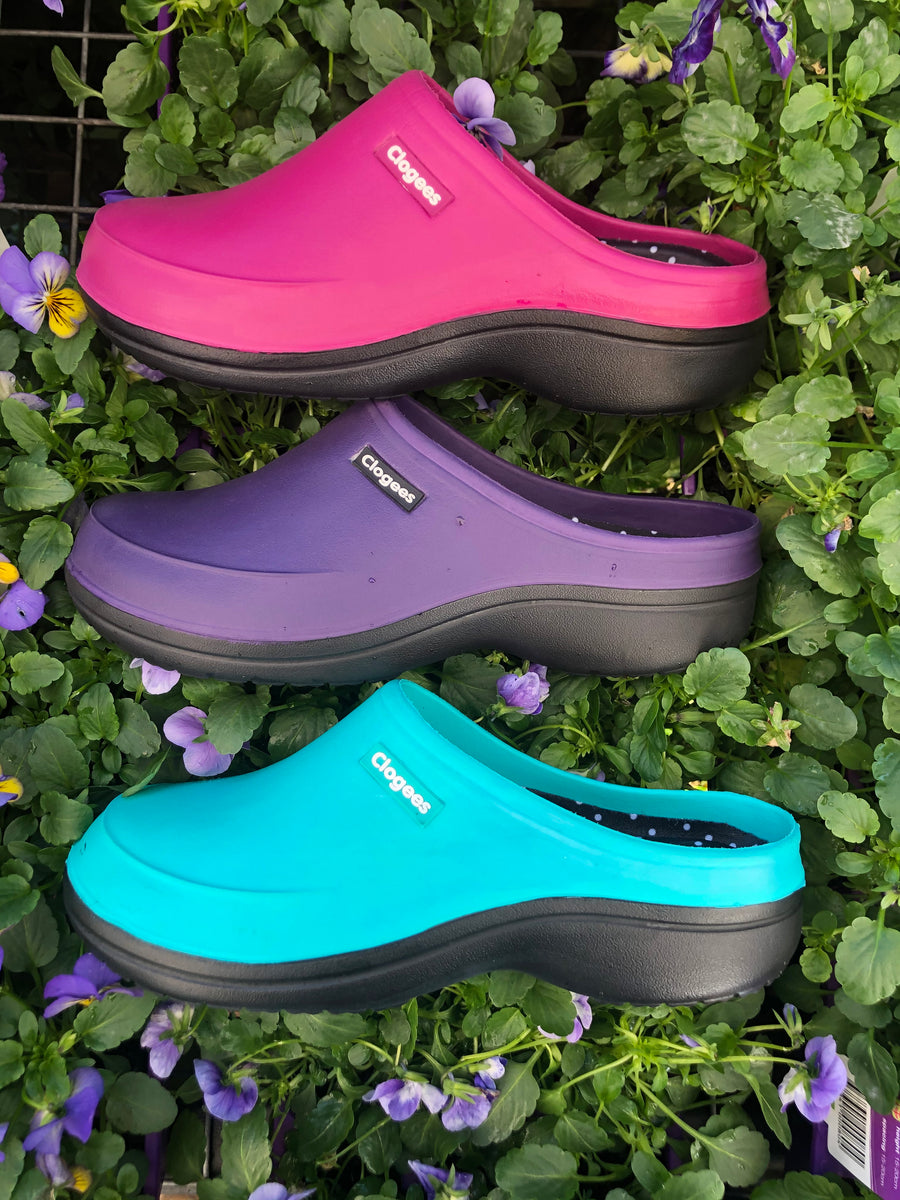 Clogees Ladies Eliza Clog WECF Lilydale Safety Wear
